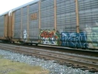 NS #204