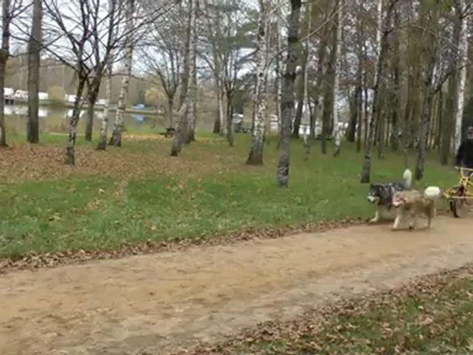 Rando de Scévolles 2012