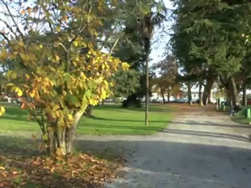 " LES PROMENADES DE MICHOU W-D.D ". - PAU, allons nous promener AU BOIS LOUIS - 20 novembre 2012.