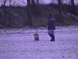 trait eywook niveau 1 le 04.12.2010