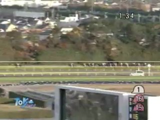 強運馬券 競馬 第32回 ジャパンカップ(ＧＩ) 2012.11.25