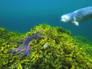 Exam Final Cut Pro X - Teaser Quest - Gabriel Melendez