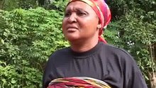 Ajadu 2