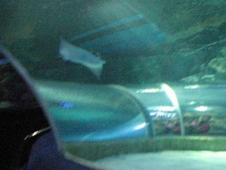MVI_0220