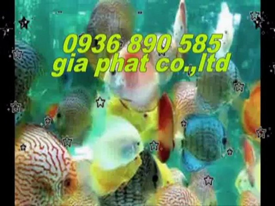 Cty sửa nhà,chống,thấm,giá,rẻ tại quận gò vấp call 0936 890 585