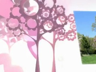 John's Professional Stump Grinding (856) 728-0523