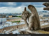 Chimères et gargouilles de Notre Dame de Paris