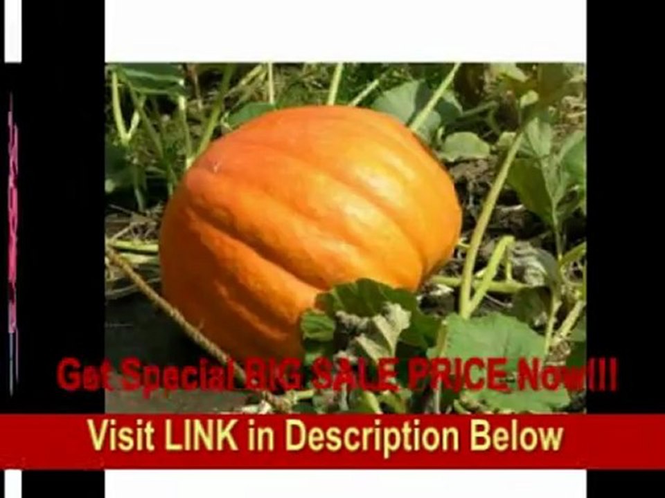 [BEST PRICE] Sony HDR-XR500V 120GB HDD High Definition Camcorder w/12x Optical Zoom