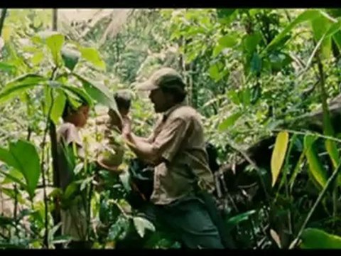 Revue du cinéma : sorties du mercredi 28 novembre