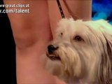 Ashleigh and Pudsey - Britain's Got Talent 2012 audition - UK version