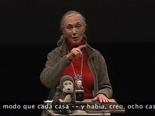 Lo que nos separa de los simios: Jane Goodall (v.o.s.)