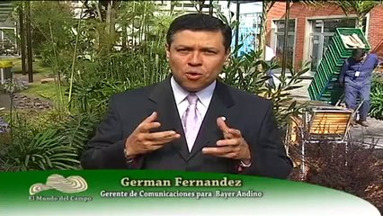 26 NOVIEMBRE 2012 bayer 100 años web