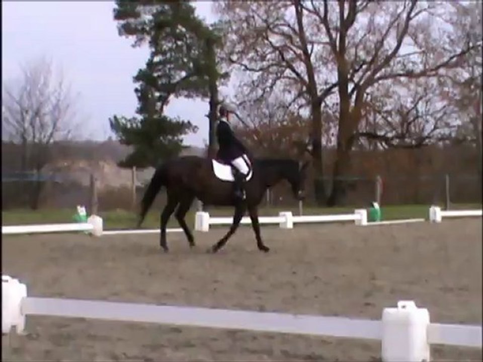 Dressage Club 3 Grand Prix aux Ecuries du Marvent -Méa Culpa Obery-