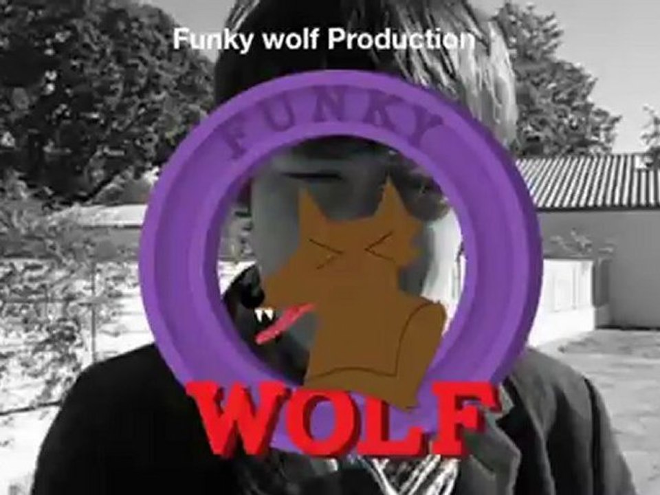 Radio fest wolfy
