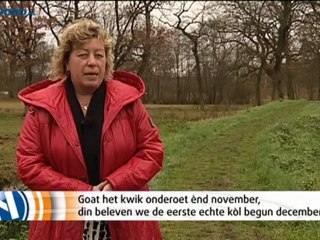 Het Weer [26-11-2012] - RTV Noord