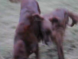 JEUX ENTRE MES FILLES