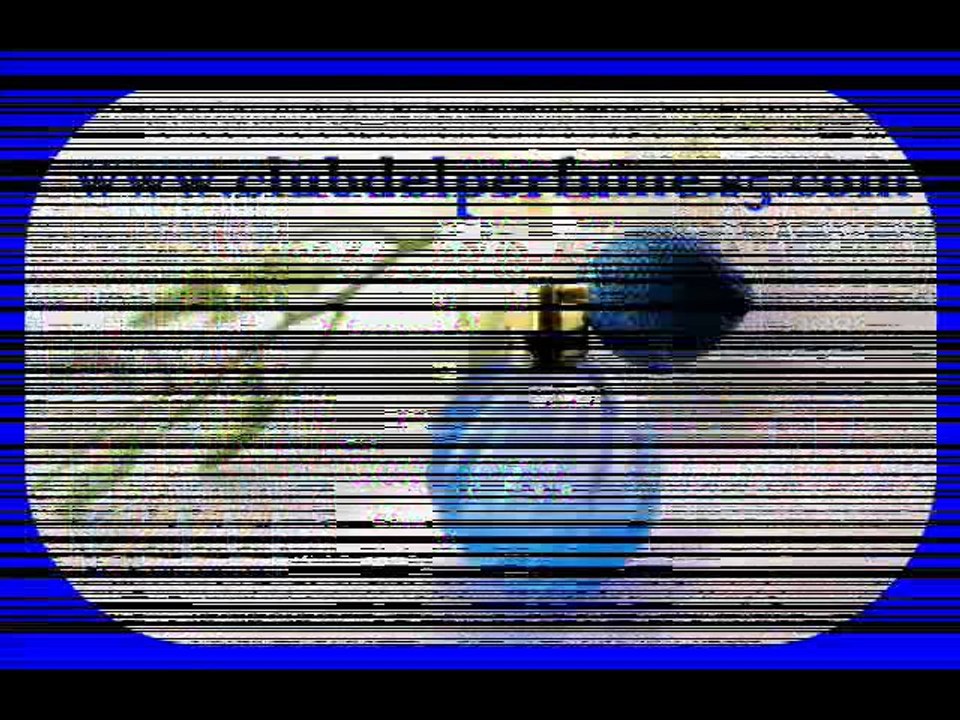 Perfumes de Famosos y Famosas