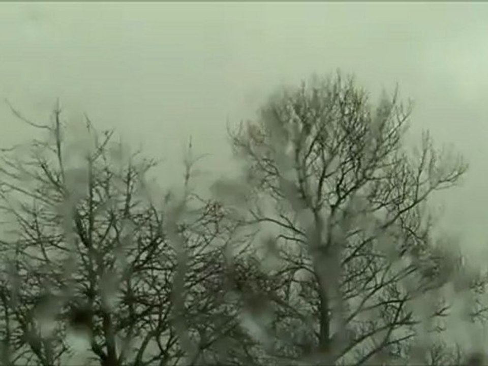 The Rain Song