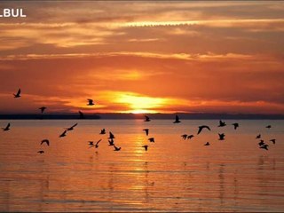 A Jibone Mor Jotokichu Bethaa Jotokichu Porajoy