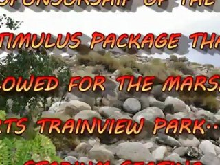 MARSHAL ARTS TRAINVIEW PARK II