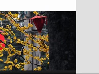 How to start a website | How to create a website