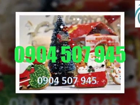 TỔ CHỨC NOEL, NHẬN TỔ CHỨC GIÁNG SINH TẠI HÀ NỘI 0904 507 945 .
