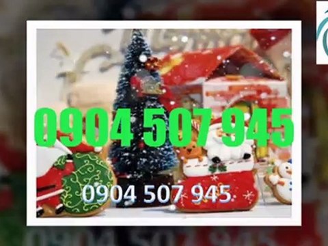 TỔ CHỨC NOEL, NHẬN TỔ CHỨC GIÁNG SINH TẠI HÀ NỘI 0904 507 945.