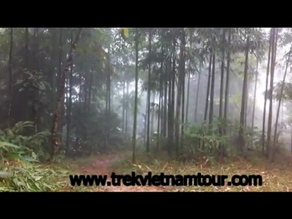 Vietnam travel - Voyage Vietnam - Minh Anh Travel