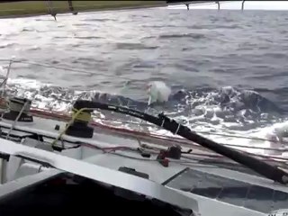 Skippers: comment économiser vos forces pendant le Vendée Globe?