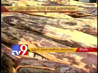 Red sandalwood smuggling in somali forest - Part 2