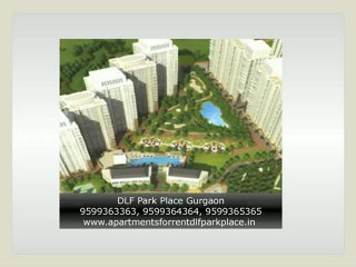 Apartments for Rent in DLF Park Place Gurgaon
