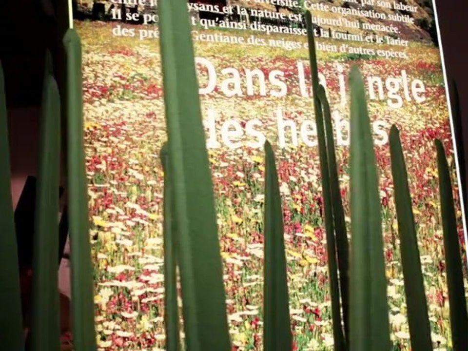 Toute la faune et la flore du Queyras réunie à l’Arche des Cimes