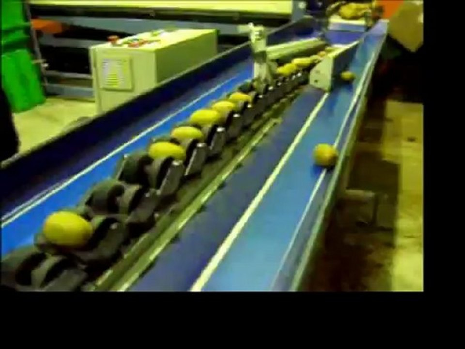 KİVİTA VİDEO-24-11-2012