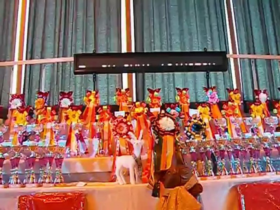 100_1550 Salon du chat Arras Dédicaces