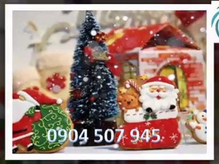TRANG TRÍ NOEL, TRANG TRÍ GIÁNG SINH TRỌN GÓI TẠI HÀ NỘI (10)