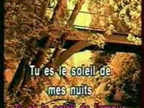 Le Soleil De Ma Vie (Duo)