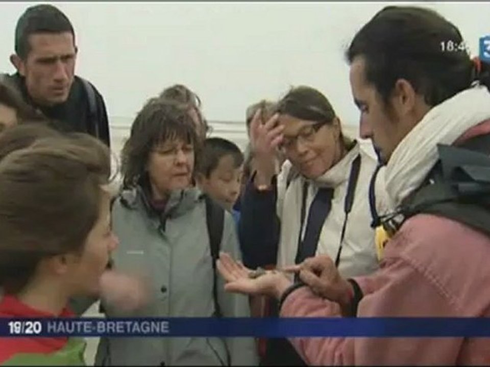 Baie du Mont Saint-Michel, la traversée