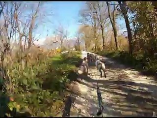 championnat europe Italie 2012 manche 2 fin de parcours