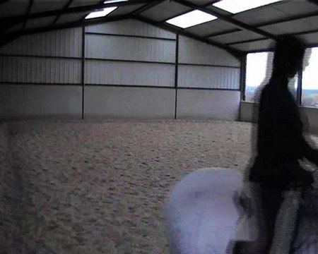 26.11.2012 trots allongés