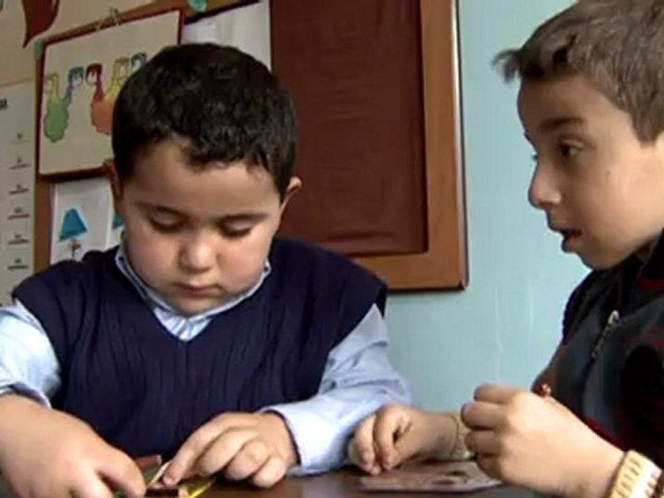 Ayı ve insan