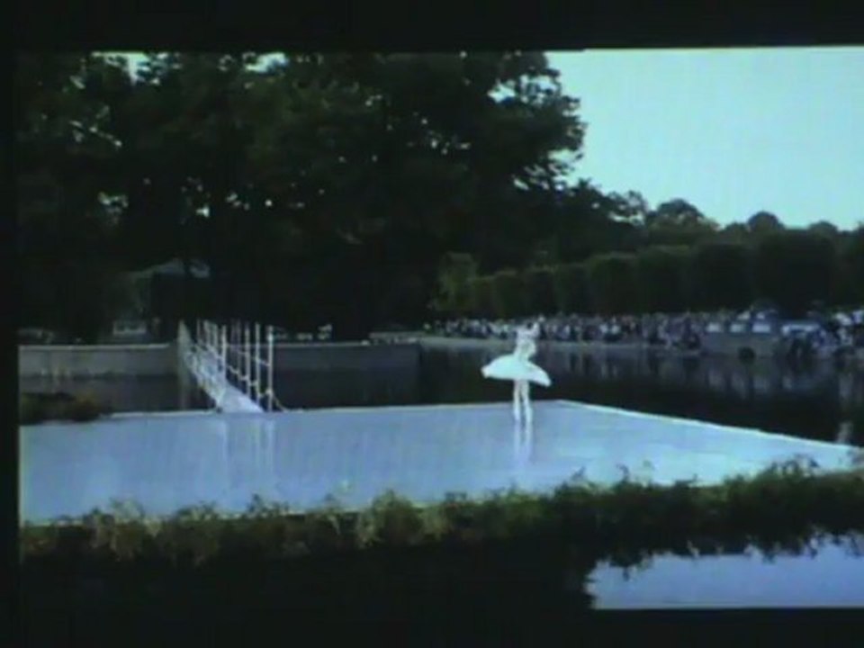 El cisne