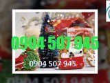 TỔ CHỨC NOEL, DỊCH VỤ TỔ CHỨC GIÁNG SINH 0904 507 945 .