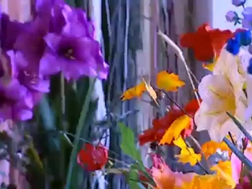 Kunstblumen aus Sachsen | Euromaxx - Echt falsch