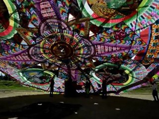 Les insolites de l'année 2012