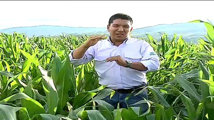 Paisagro San Gil Noviembre 27 de 2012 web