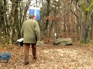 Vues sur l'Actu du 27.11.2012