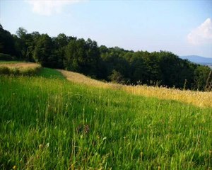 Lena i Latoszek- Kocham cię