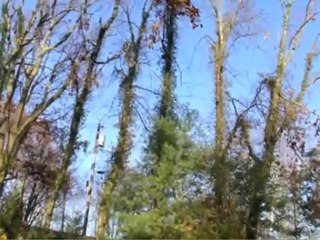 309 Robin Road, Bristol, TN