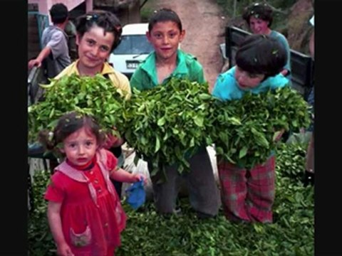 sesliseviyore.com,sesliseviyore.com,sesliseviyore.com BiR BAŞKADIR BENiM MEMLEKETiM - Başta Türkiye yok Bir Başkadır benim VATANIM