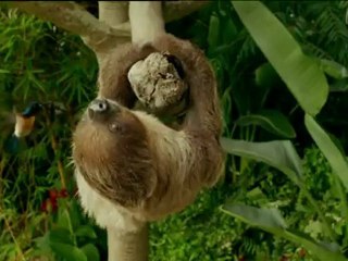 Ang Lee recupera  "La vida de Pi"